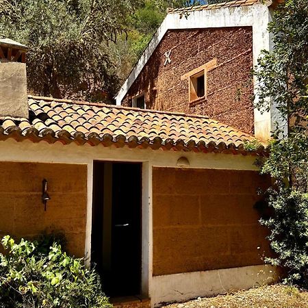 Casas Da Cerca Guest House Troviscais Exterior photo